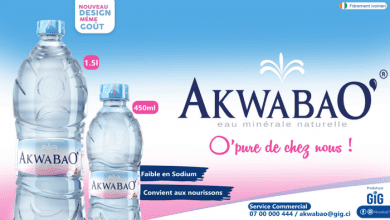 278245192_543176580499168_4111370506963181621_n