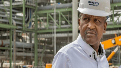 pznktkpTURBXy8wOGUwODY4YWNkYzBkMjIxZTUyZTNhNDYxZGZjYWVmOS5wbmeSlQMxAM0DIc0Bw5MFzQSwzQJ2