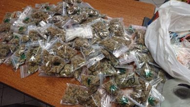 trafic-drogue-lille-nord-120-interpellations