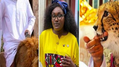 Screenshot-2022-05-07-at-8.01.17-AM