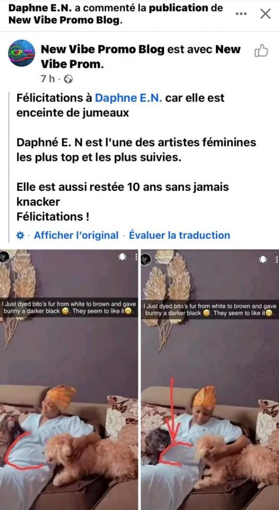 Supposée grossesse de Daphne / La chanteuse camerounaise dit toute la vérité enfin
