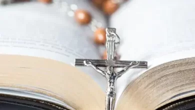 c4816d1c-4ba1-40b8-87a6-dbf123db17e7_ORIGINAL