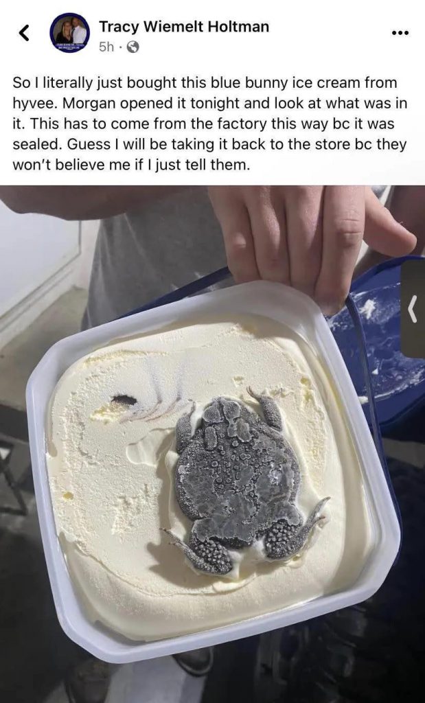 Une femme trouve une énorme grenouille dans un bol de crème glacée achetée dans un magasin