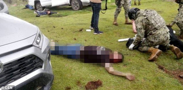 Fusillade sanglante au Mexique : un singe vêtu d'un gilet pare-balles retrouvé mort à côté de son propriétaire-Photos 