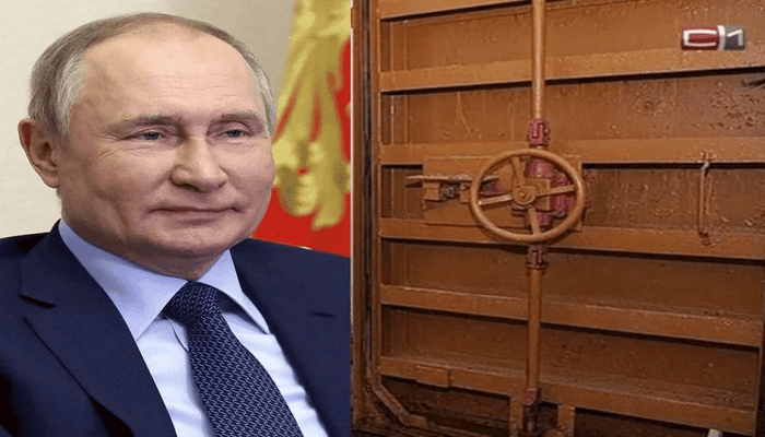 Poutine et ses toilettes