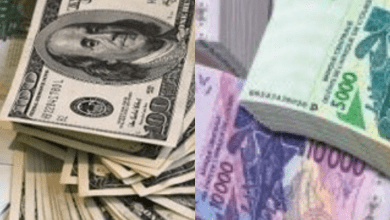 Citation-Amitie-Collage-Amies-1