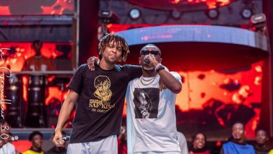 295934838_396521712470240_7018611574856928116_n