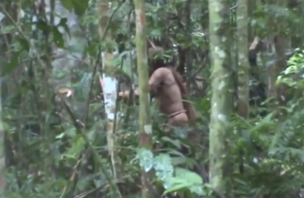 La mort du dernier membre met fin à l'existence d'une tribu amazonienne super isolée découverte vers 1970