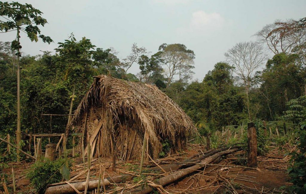 La mort du dernier membre met fin à l'existence d'une tribu amazonienne super isolée découverte vers 1970