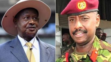 sdsn507212m4u6q62277b3591dd2