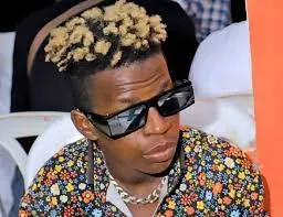 téléchargement (20)