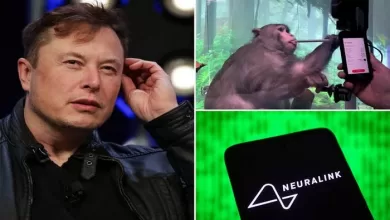 Elon Musk et ses implants cérébraux