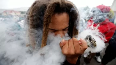 Top 10 des pays africains fumeurs de Cannabis