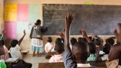 10 pays africains avec le taux d’alphabetisation faible