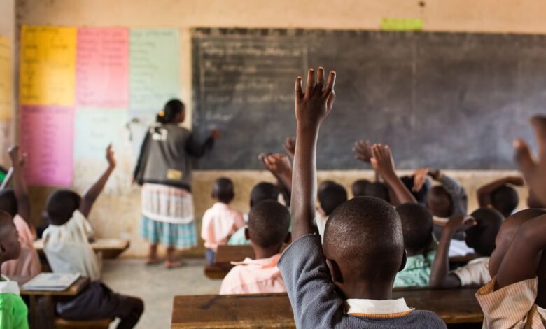 10 pays africains avec le taux d&rsquo;alphabetisation faible