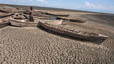 les-pays-africains-où-la-secheresse-est-declarée-catastrophe