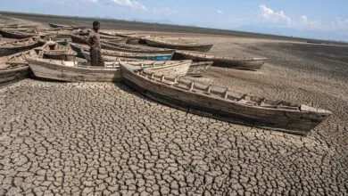 les-pays-africains-où-la-secheresse-est-declarée-catastrophe