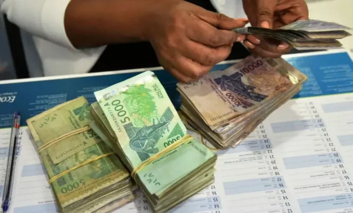 des secteurs et industries florissants dans lesquels investir en Afrique