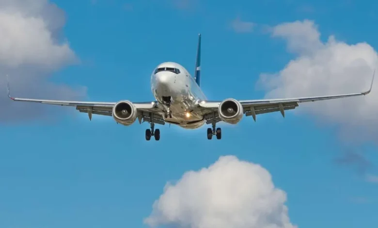 un couple surpris en train de faire l’amour en plein vol