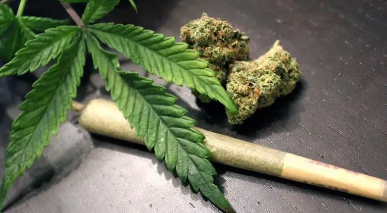 LA-culture-du-cannabis-légalisée-dans-9-pays-africains (2)