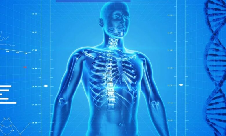 L&rsquo;âge maximal de l&rsquo;être humain révélé par des experts
