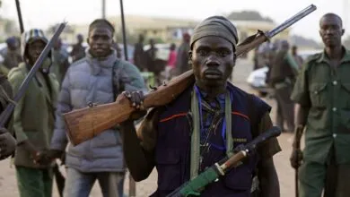 5 des pays africains où le taux de possession d’armes à feu par les civils est le plus élevé