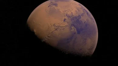 un visage humain capturé sur Mars par la NASA