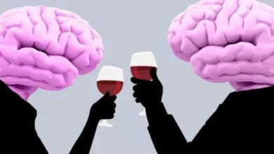 Sapios3xualité – la nouvelle tendance à laquelle adhèrent plusieurs célébrités