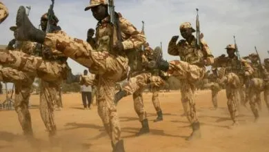 3 pays ouest-africains mobilisent 5 000 soldats pour des opérations de sécurité régionales