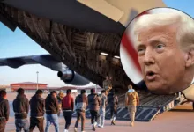 « Les vols d’expulsion ont commencé » – annonce l’administration Trump alors que les immigrants illégaux sont renvoyés dans leurs pays
