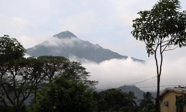 montcameroun