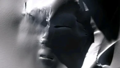 Découverte choquante sur Google Maps – un « visage » mystérieux à la surface de l’Antarctique
