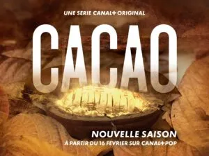 Canal + : Découvrez le programme des films et séries pour le mois de Janvier