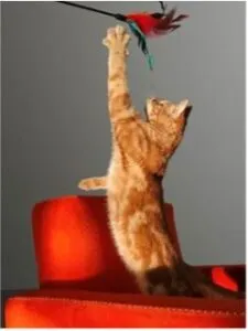 FlashSnap avec TECNO CAMON 40 : Snap parfait à chaque seconde !