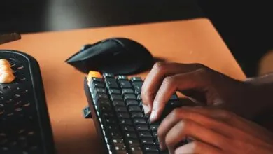 OnlineCasinos2025_fr