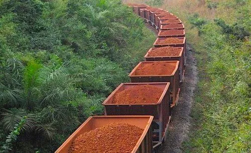 La Guinee annule 46 licences