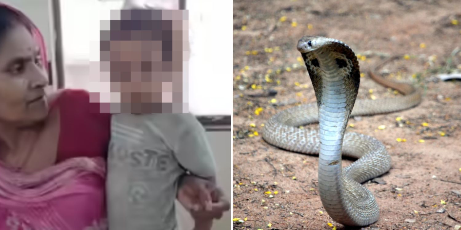 Inde : Un enfant de 2 ans t.ue un cobra en le mordant
