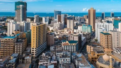 La Tanzanie interdit aux étrangers de gérer de petites entreprises