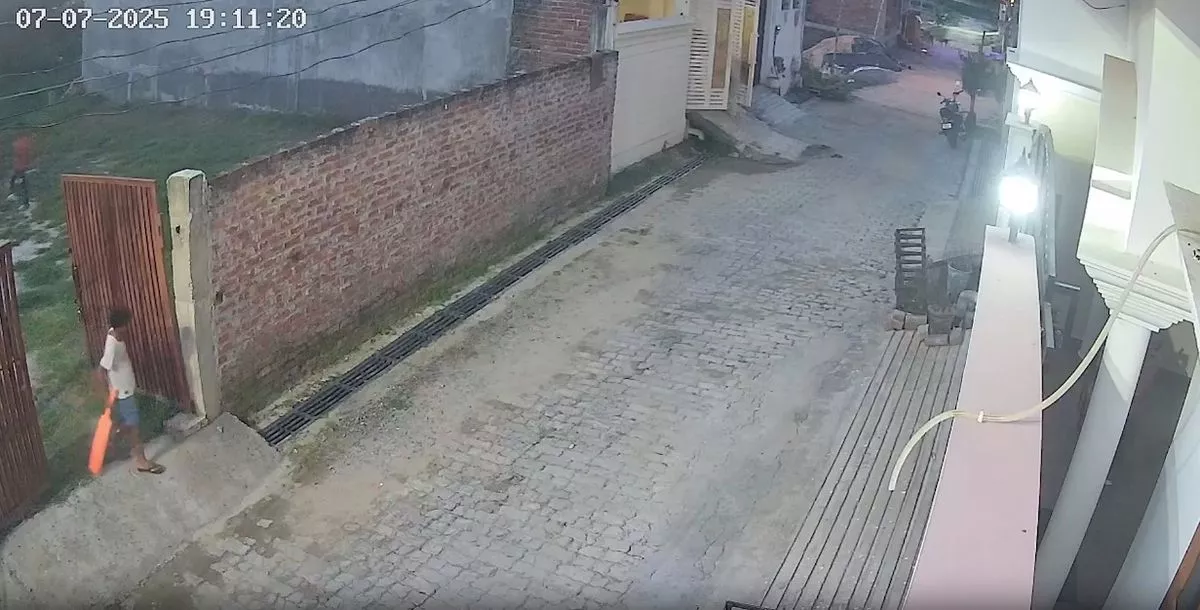 Un jeune garçon emporté par des chiens errants alors qu’il joue près de la maison (vidéo)