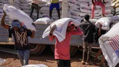 12 pays africains sélectionnés pour un programme d’aide alimentaire d’urgence de 93 millions de dollars