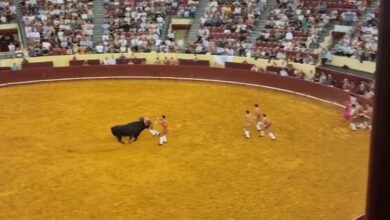 un torero est encorné à mort par un taureau lors de sa première représentation