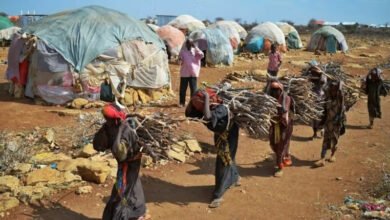 10-pays-africains-où-la-qualité-de-vie-est-la-plus-basse-en-2025-