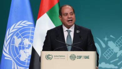 Sommet-des-BRICS-le-président-égyptien-critique-l_ONU-dans-un-discours-enflammé