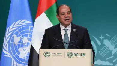 Sommet-des-BRICS-le-président-égyptien-critique-l_ONU-dans-un-discours-enflammé