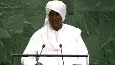 le-premier-ministre-nigérien-Mahaman