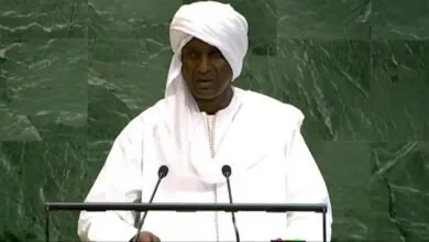 le-premier-ministre-nigérien-Mahaman