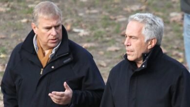 prince Andrew et Jeffrey Epstein