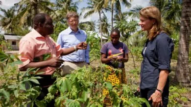 Bill-Gates-promet-1_4-milliard-de-dollars-pour-aider-les-agriculteurs