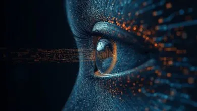 La littératie numérique