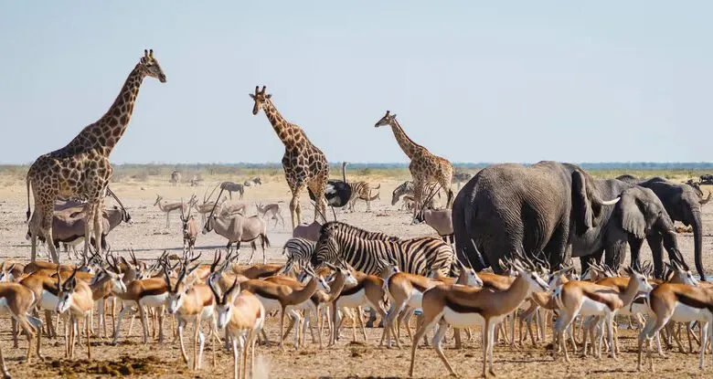 La-Namibie-désignée-meilleure-destination-africaine-pour-les-voyages-authentiques-